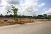 Land for Sale (Dangkor)